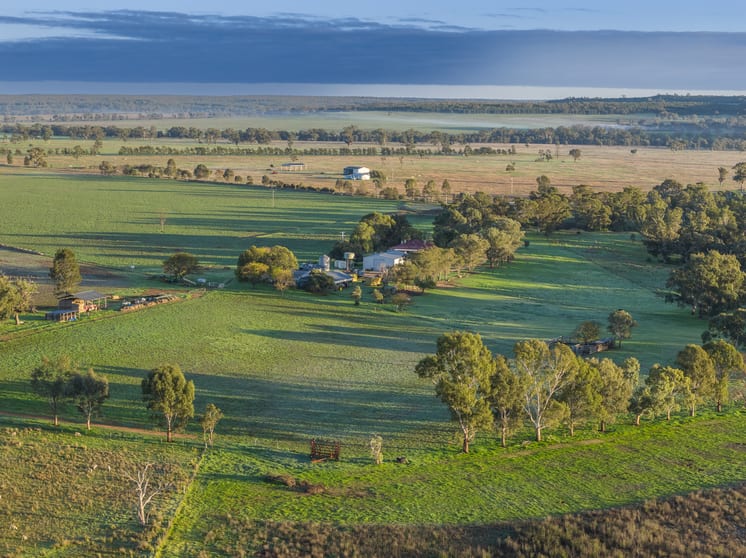 Click to view all images 21R Nantilla Road Ballimore NSW 2830 - Image 3