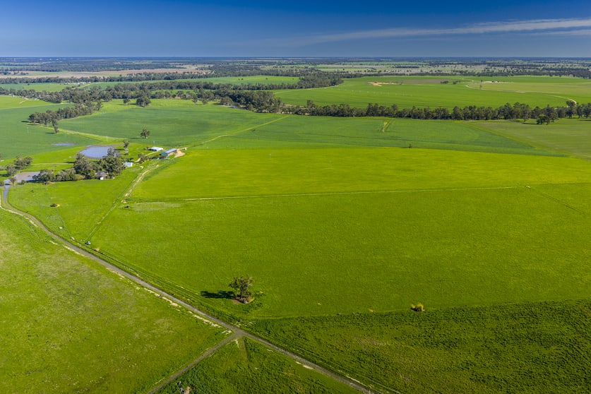 'San Diego Narromine Road Dubbo NSW 2830 - Image 3