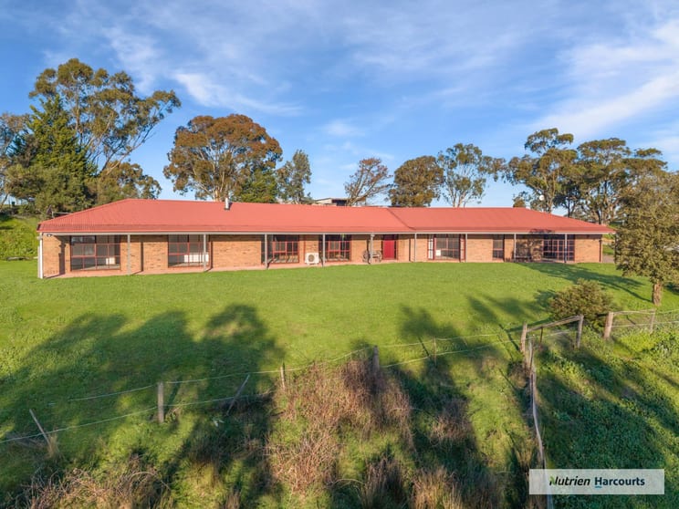 Click to view all images 35 Hadfield Road West Upper Plenty VIC 3756 - Image 3