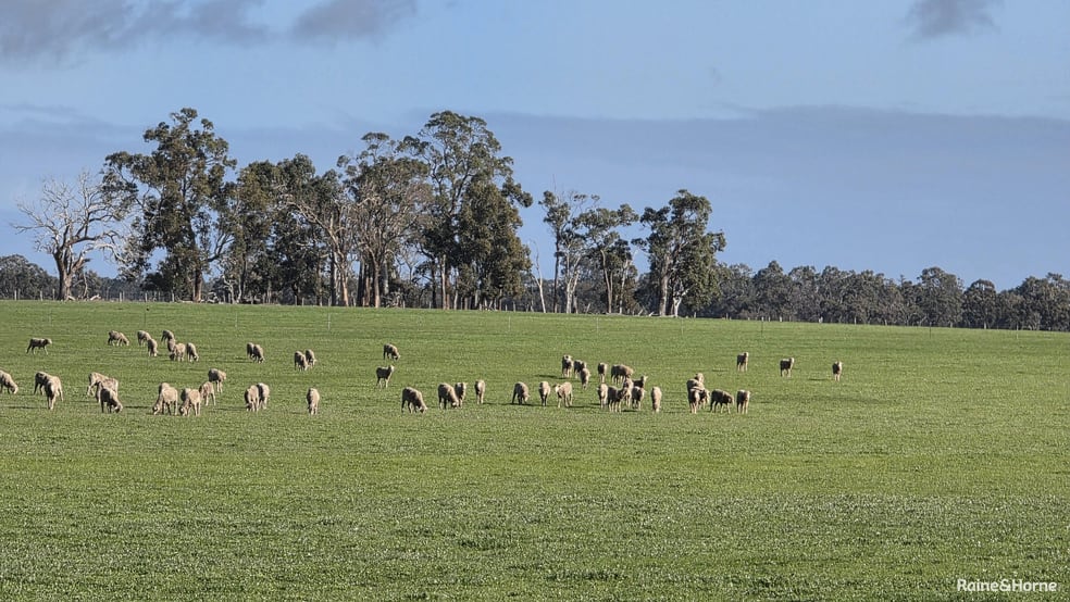 Click to view all images Lot 5 Sandalwood Road Darkan WA 6392 - Image 3