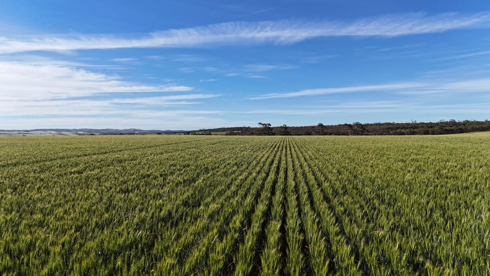 Click to view all images 'The Gap' Wilkins Highway Huddleston SA 5523 - Image 1