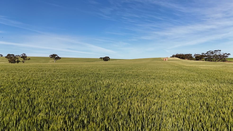 Click to view all images 'The Gap' Wilkins Highway Huddleston SA 5523 - Image 2