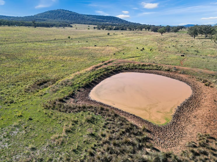 Click to view all images 120 Carara Road Curlewis NSW 2381 - Image 3