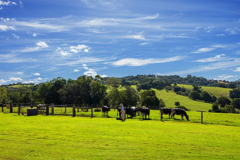 Click to view all images 20 Pacific Heights Drive Cumbalum NSW 2478 - Image 3