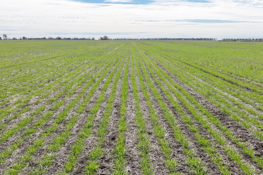 Click to view all images 26446 Newell Highway Moree NSW 2400 - Image 3