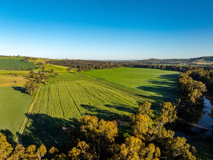 Click to view all images 460 Wokolena Road Wagga Wagga NSW 2650 - Image 2