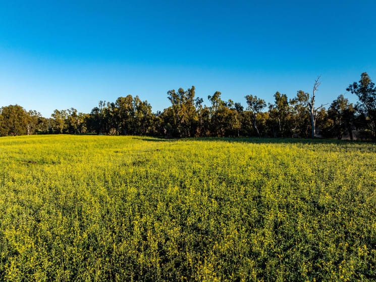 Click to view all images 460 Wokolena Road Wagga Wagga NSW 2650 - Image 3