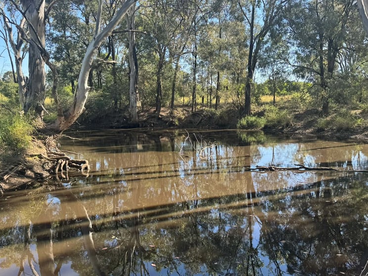 Click to view all images Tara QLD 4421 - Image 3