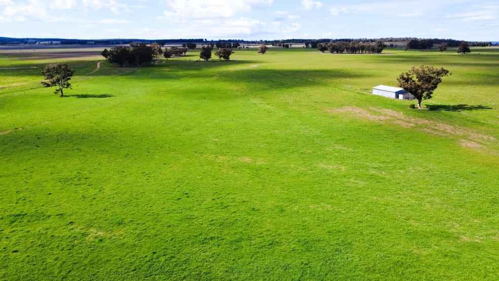 Click to view all images 3418 Castlereagh Highway Breelong NSW 2827 - Image 3