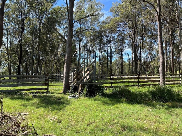 LOT 14 Old Dyraaba Road Lower Dyraaba NSW 2470 - Image 1