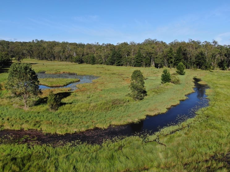 LOT 14 Old Dyraaba Road Lower Dyraaba NSW 2470 - Image 3
