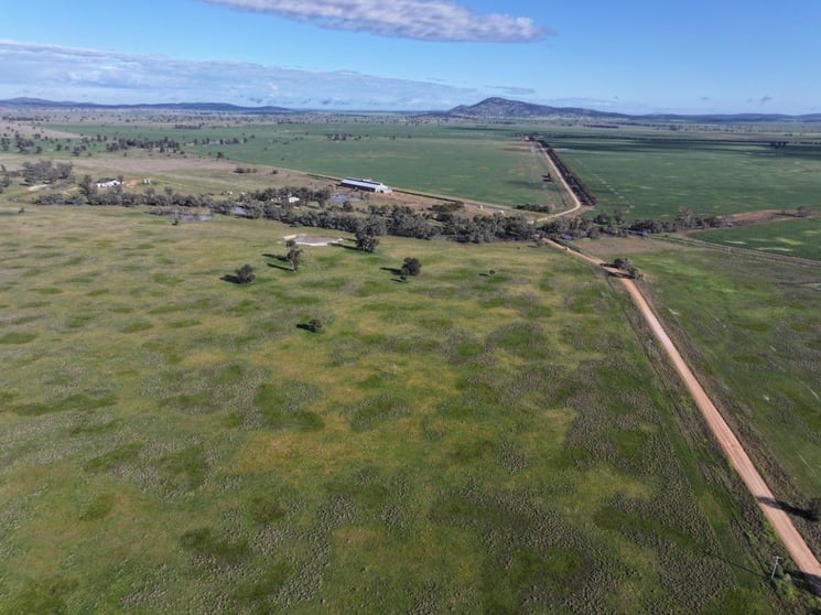 Click to view all images 'Stanley Park' 327 Back Creek Road Forbes NSW 2871 - Image 1