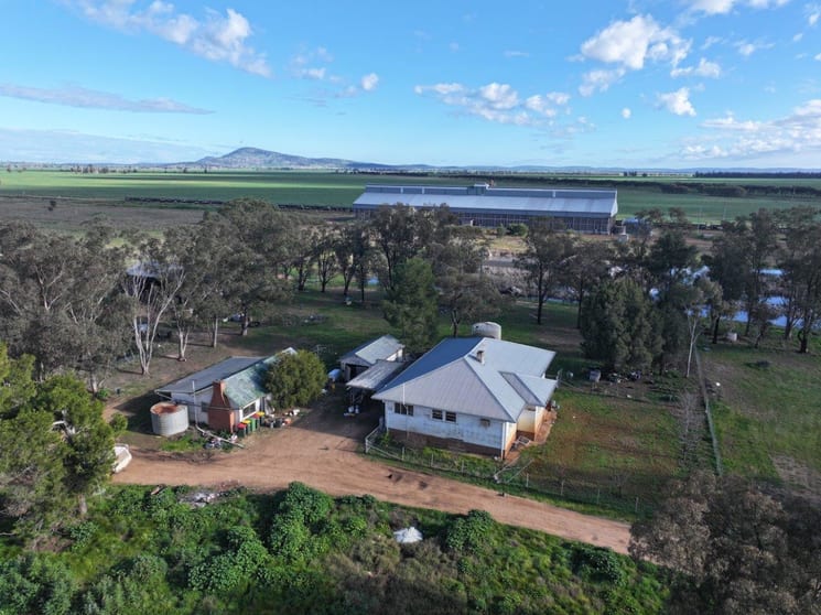 Click to view all images 'Stanley Park' 327 Back Creek Road Forbes NSW 2871 - Image 3
