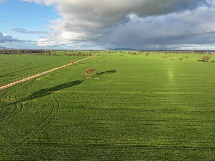 Click to view all images 'Bongoola' Mary Gilmore Way Bimbi NSW 2810 - Image 2