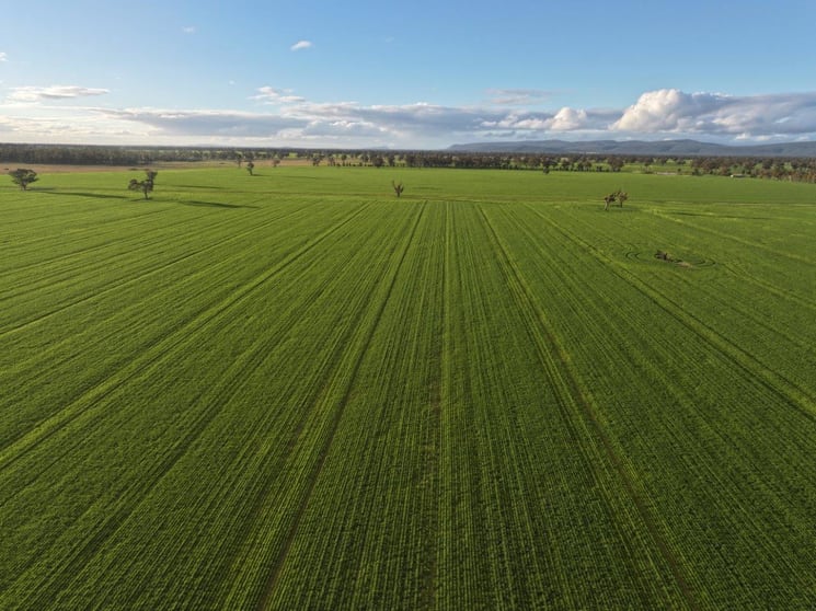 Click to view all images 'Bongoola' Mary Gilmore Way Bimbi NSW 2810 - Image 3