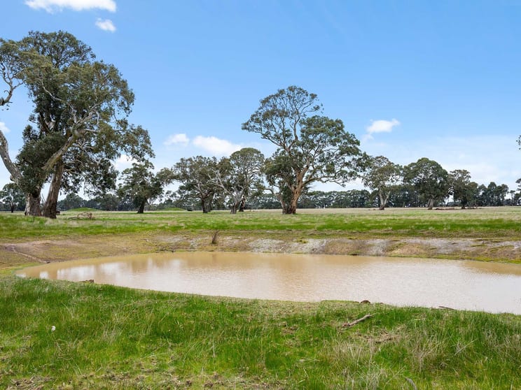 2697 Dunkeld Cavendish Road Cavendish VIC 3314 - Image 3
