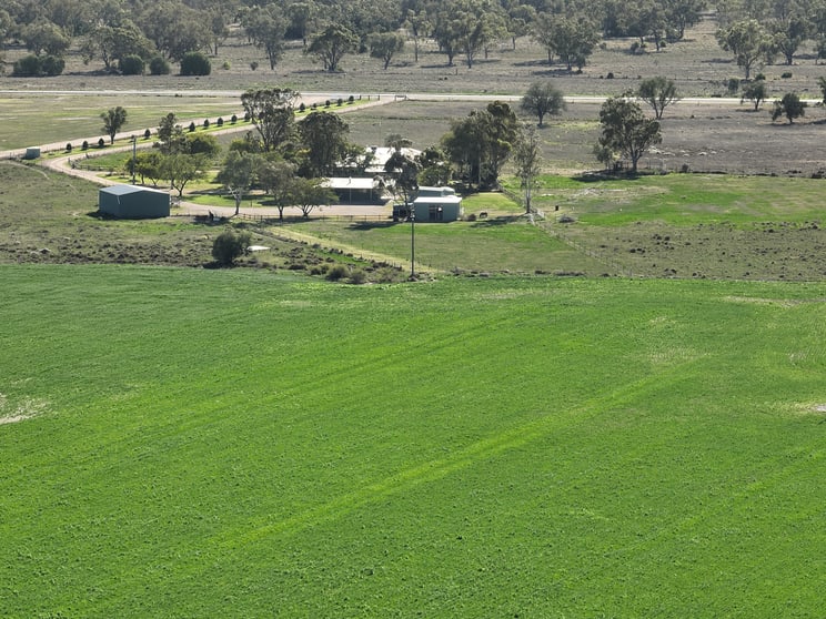 Click to view all images Moongulla/493 Goodar Road Goondiwindi QLD 4390 - Image 1