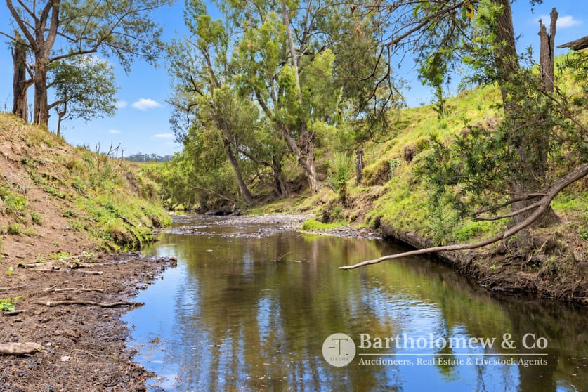 10667 Mount Lindesay Highway Palen Creek QLD 4287 - Image 2