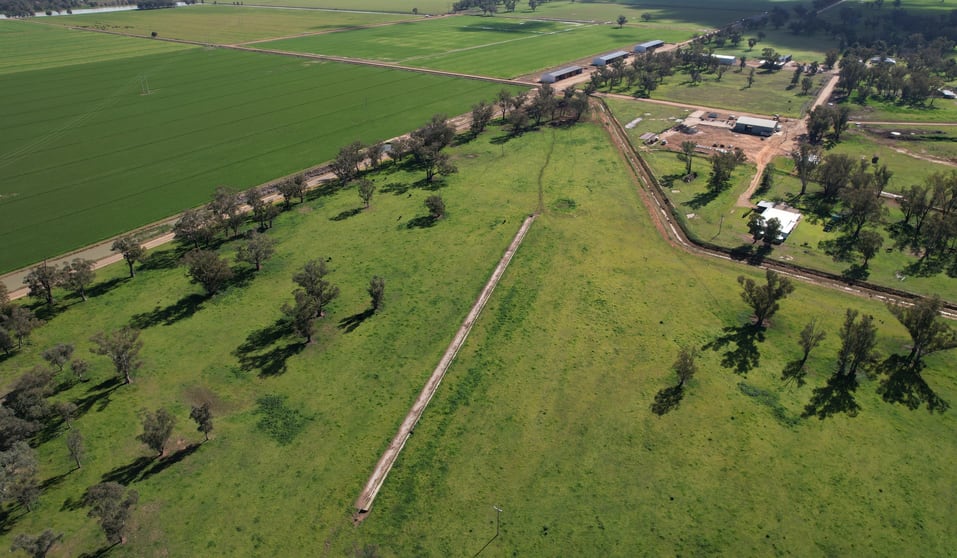 553 New Grenfell Road Forbes NSW 2871 - Image 2