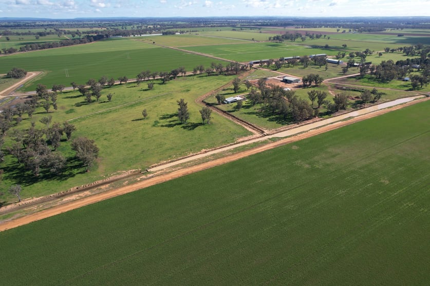 553 New Grenfell Road Forbes NSW 2871 - Image 3