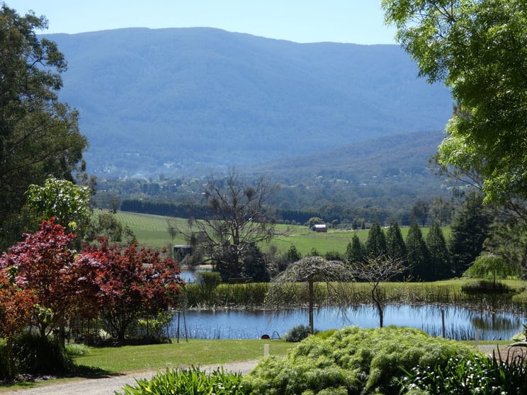 Click to view all images 185 Summerhill Road Yarra Junction VIC 3797 - Image 1