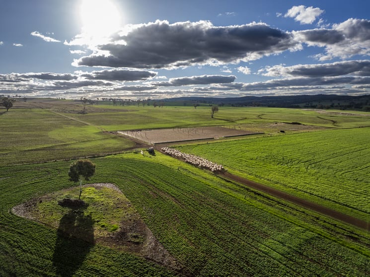Click to view all images 4500 Purlewaugh Road Purlewaugh NSW 2357 - Image 3