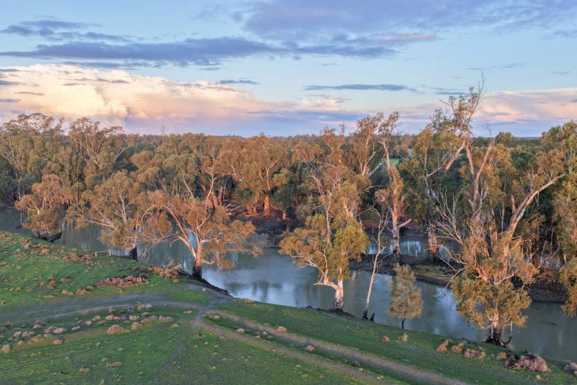 Click to view all images 319 Balranald Road Moulamein NSW 2733 - Image 1