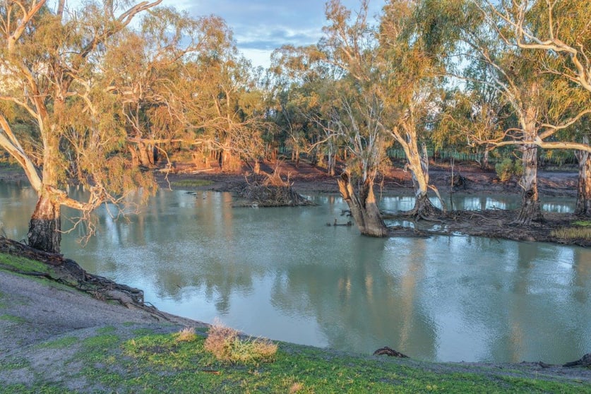 Click to view all images 319 Balranald Road Moulamein NSW 2733 - Image 3