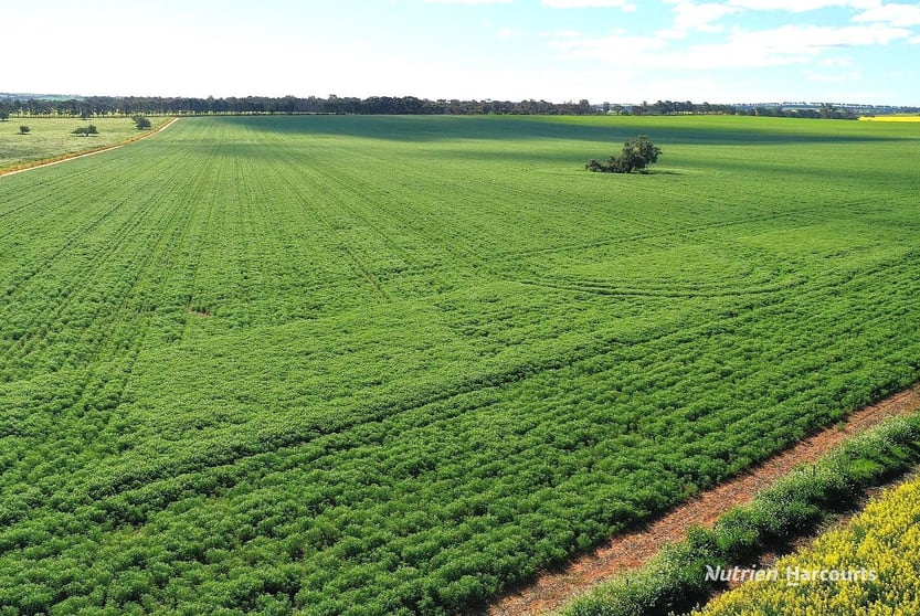 Click to view all images 223 Mungedar Road Badgingarra WA 6521 - Image 3