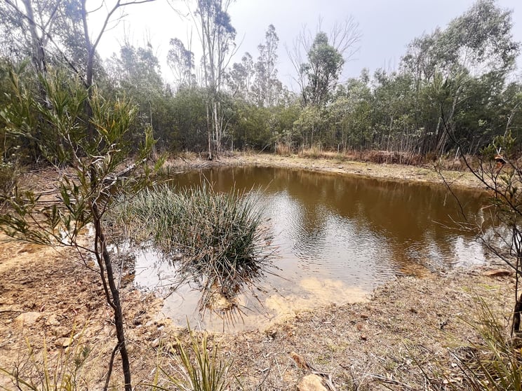 Click to view all images 600 Tallygang Mountain Road Wombeyan Caves NSW 2580 - Image 2