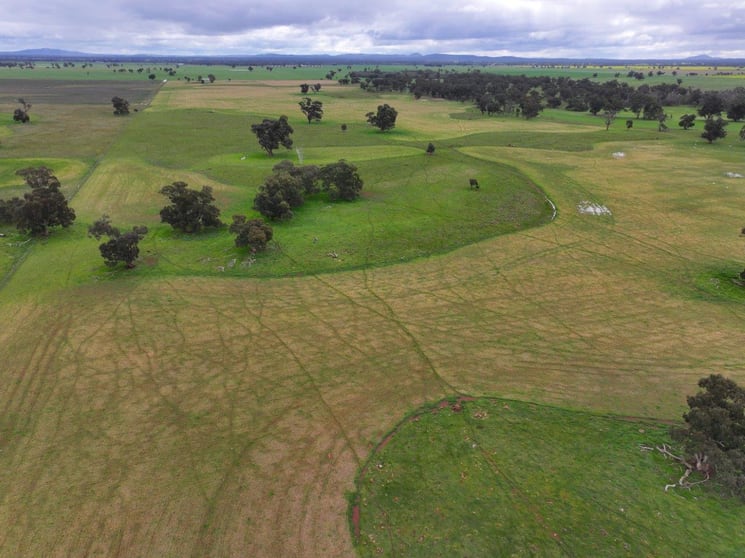 Click to view all images C/A 85B Morses Road Derby VIC 3516 - Image 2