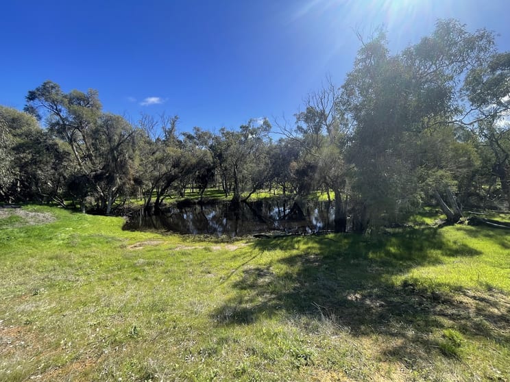 Click to view all images 254 Springhill Road Hill River WA 6521 - Image 1
