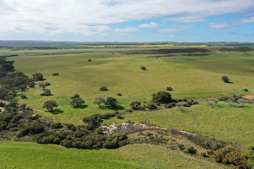 Click to view all images 254 Springhill Road Hill River WA 6521 - Image 2