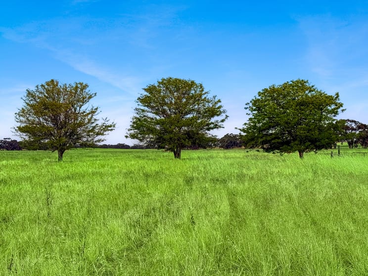 Click to view all images Lot 68 Penniment Road Bordertown SA 5268 - Image 1
