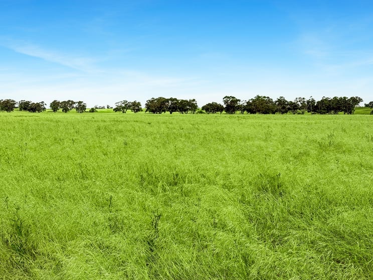 Click to view all images Lot 68 Penniment Road Bordertown SA 5268 - Image 2