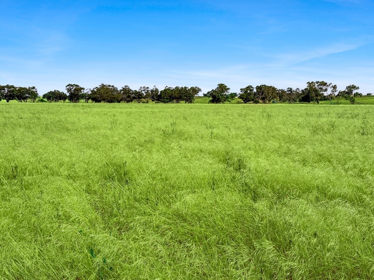 Click to view all images Lot 68 Penniment Road Bordertown SA 5268 - Image 3