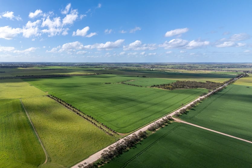 Click to view all images Lot/104-106 Pfeiffer Road Murray Bridge South SA 5253 - Image 2