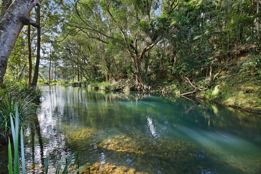 Click to view all images 12 Araluen Road Tallebudgera Valley QLD 4228 - Image 3
