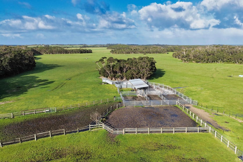 218 Mansons Road Egg Lagoon TAS 7256 - Image 2
