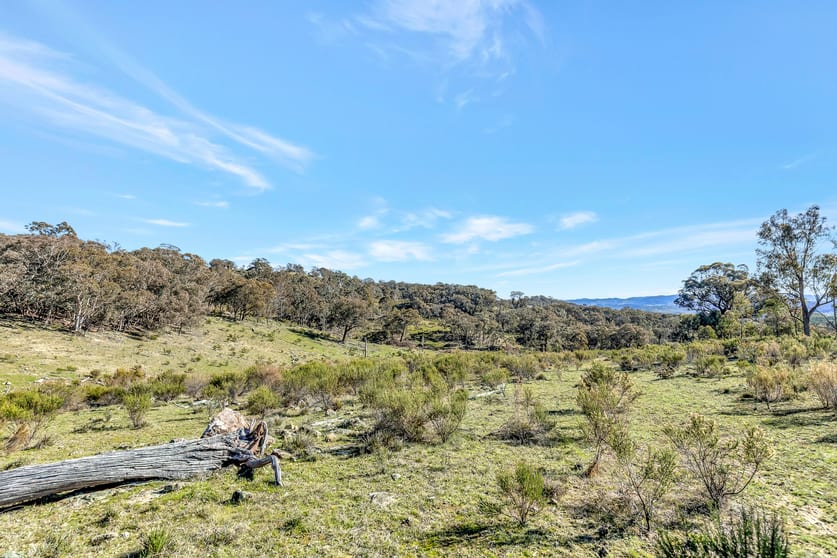 954 Pyramul Road Mudgee NSW 2850 - Image 3