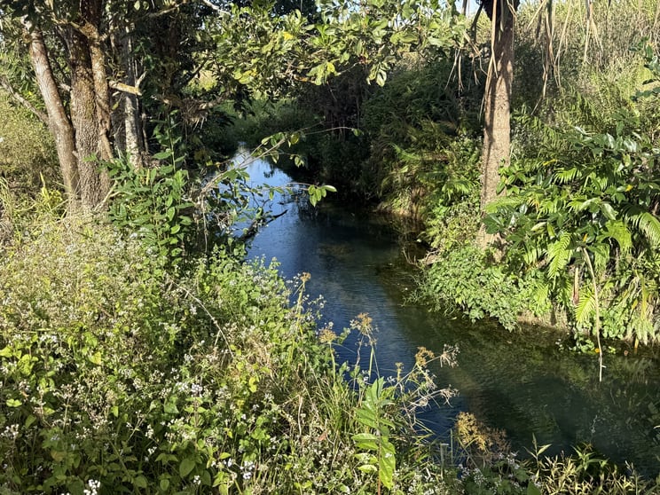 Click to view all images Silkwood QLD 4856 - Image 2
