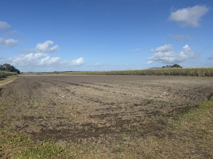 Click to view all images Silkwood QLD 4856 - Image 3