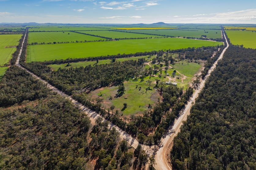77 Yalgogorin Road Moombooldool NSW 2665 - Image 2