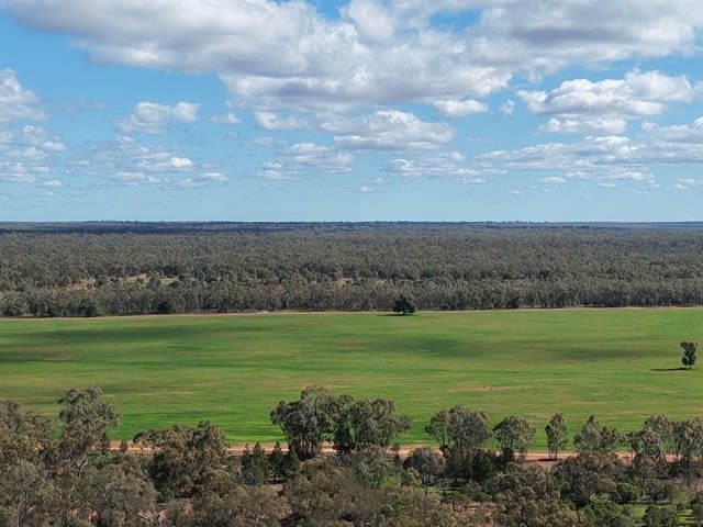 Click to view all images 613 Doneys Road Coolabah NSW 2831 - Image 1