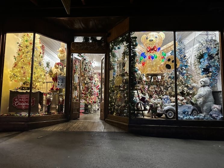 Click to view all images Shop & Retail business for sale in Echuca - Image 1