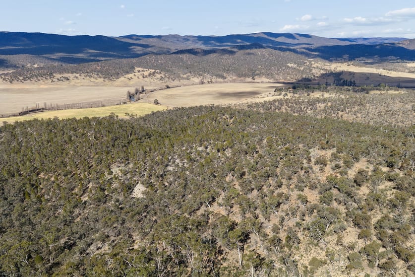 Click to view all images 1747 Carlaminda Road Cooma NSW 2630 - Image 3