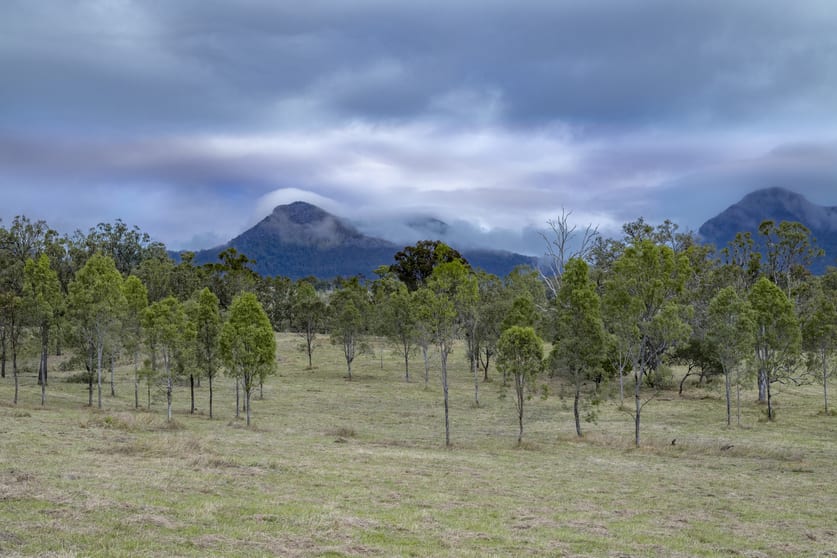 Click to view all images 0 Cunningham Highway Clumber QLD 4309 - Image 1