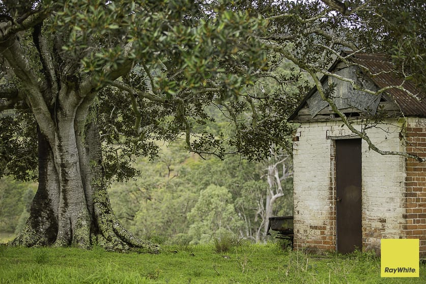 260 Dog Trap Creek Road Bingleburra NSW 2311 - Image 2