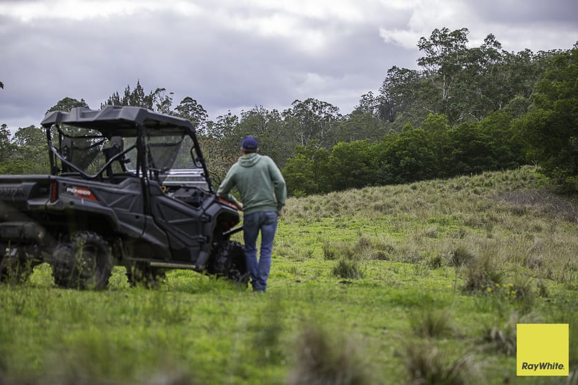 260 Dog Trap Creek Road Bingleburra NSW 2311 - Image 3
