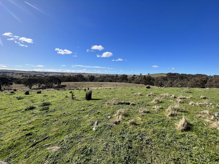Lot 65/1911 Rugby Road Bevendale NSW 2581 - Image 2